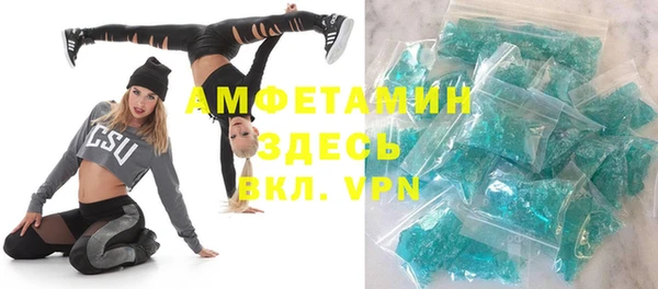индика Алзамай
