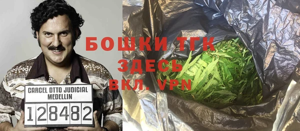 гидра Алексин