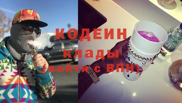 индика Алзамай